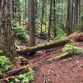 Review photo of Ohanapecosh Campground — Mount Rainier National Park by Tom K., August 5, 2019