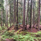 Review photo of Ohanapecosh Campground — Mount Rainier National Park by Tom K., August 5, 2019
