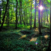 Review photo of Pictured Rocks National Lakeshore Backcountry Sites — Pictured Rocks National Lakeshore by Anna C., September 24, 2016