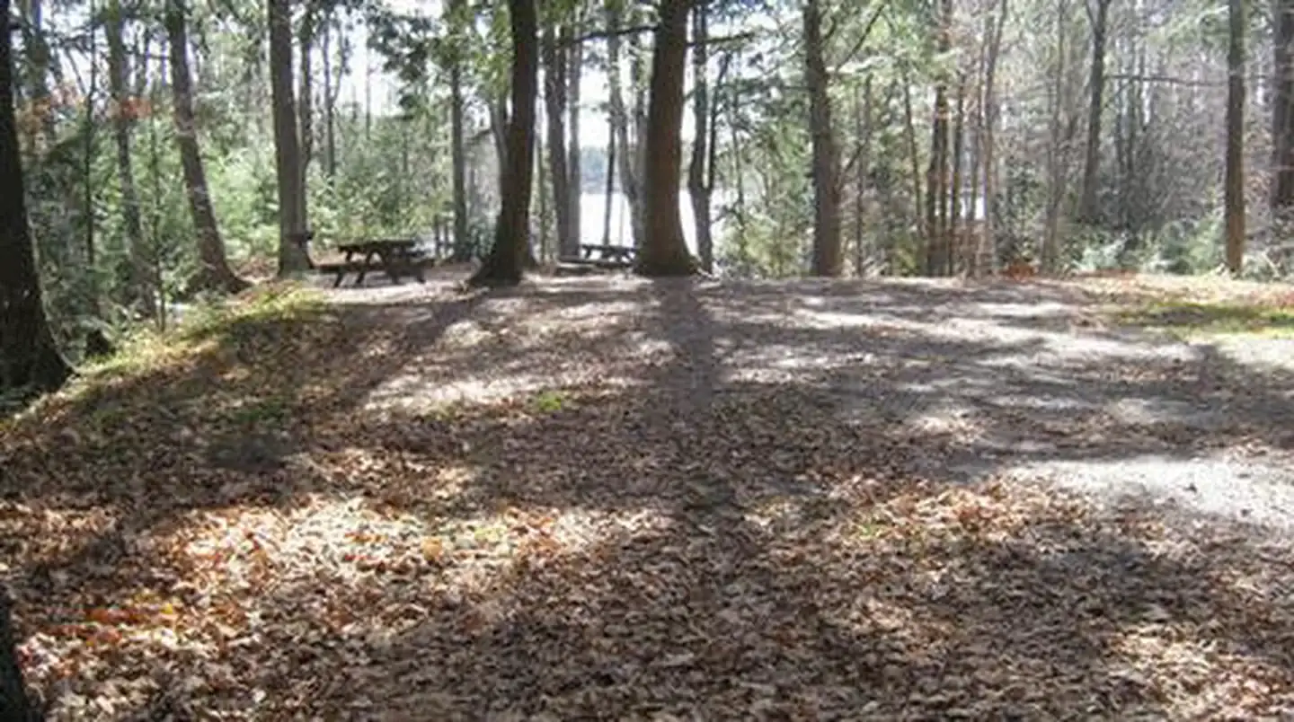 Camper-submitted photo at Spearhead Point near Westboro, WI