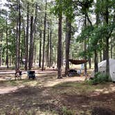 Review photo of Aspen Campground by Tom W., August 5, 2019