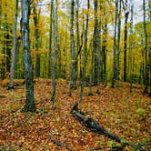 Review photo of Pictured Rocks National Lakeshore Backcountry Sites — Pictured Rocks National Lakeshore by Anna C., September 24, 2016
