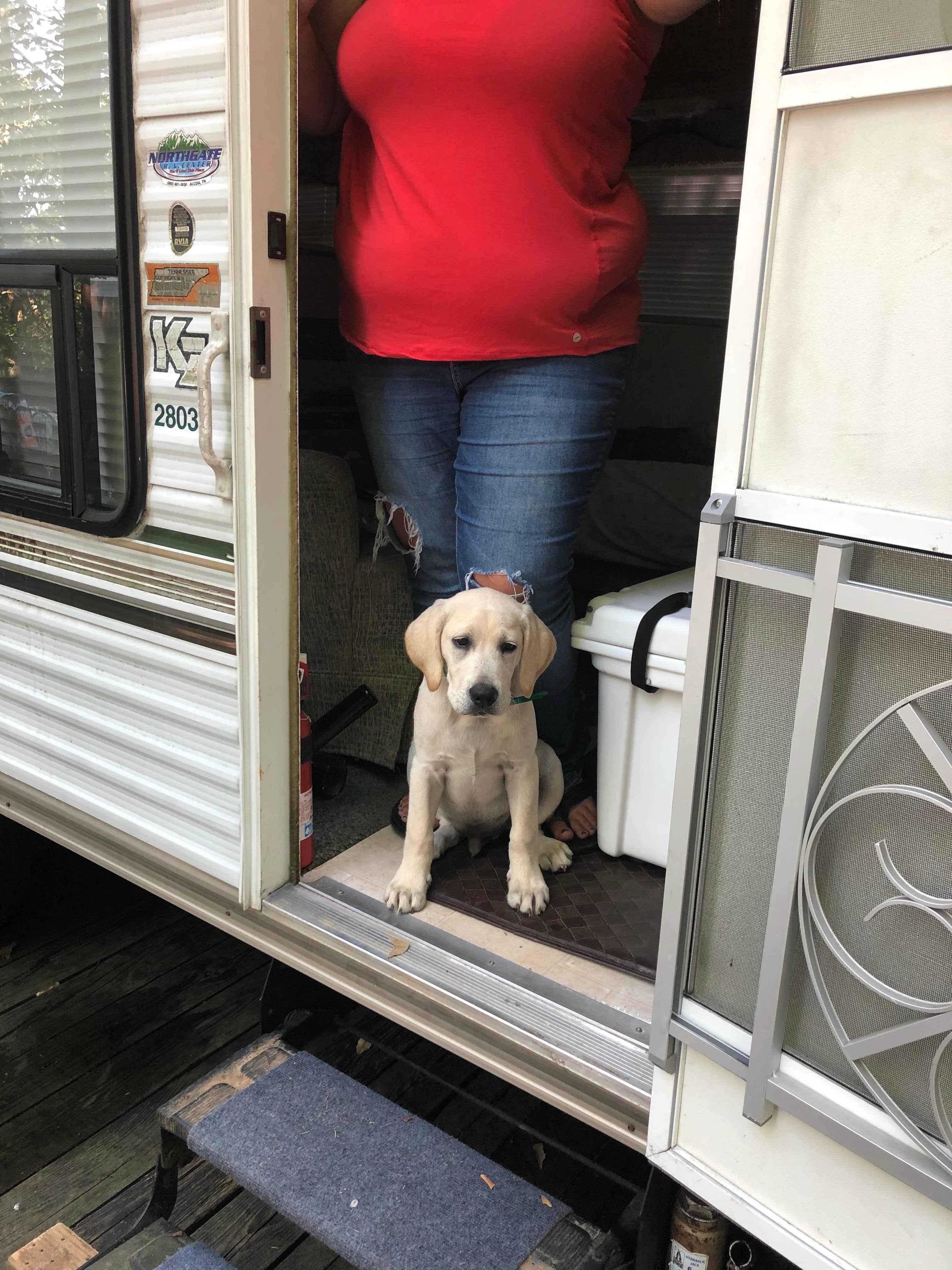 Kaitlyn  .'s photo of rv camping at Edgar Evins State Park Campground near Granville, TN