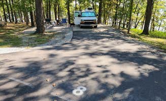 Fred S.'s photo of camping with pets at Robinson Point near Calico Rock, AR