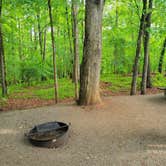 Review photo of Watson Mill Bridge State Park Campground by paul Z., October 16, 2025