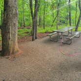 Review photo of Watson Mill Bridge State Park Campground by paul Z., October 16, 2025