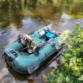 Review photo of Aziscoos Valley Camping Area by Mark W., October 16, 2025