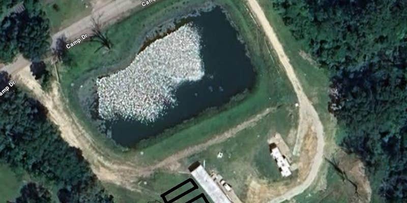 Camper submitted image from Camp Drive