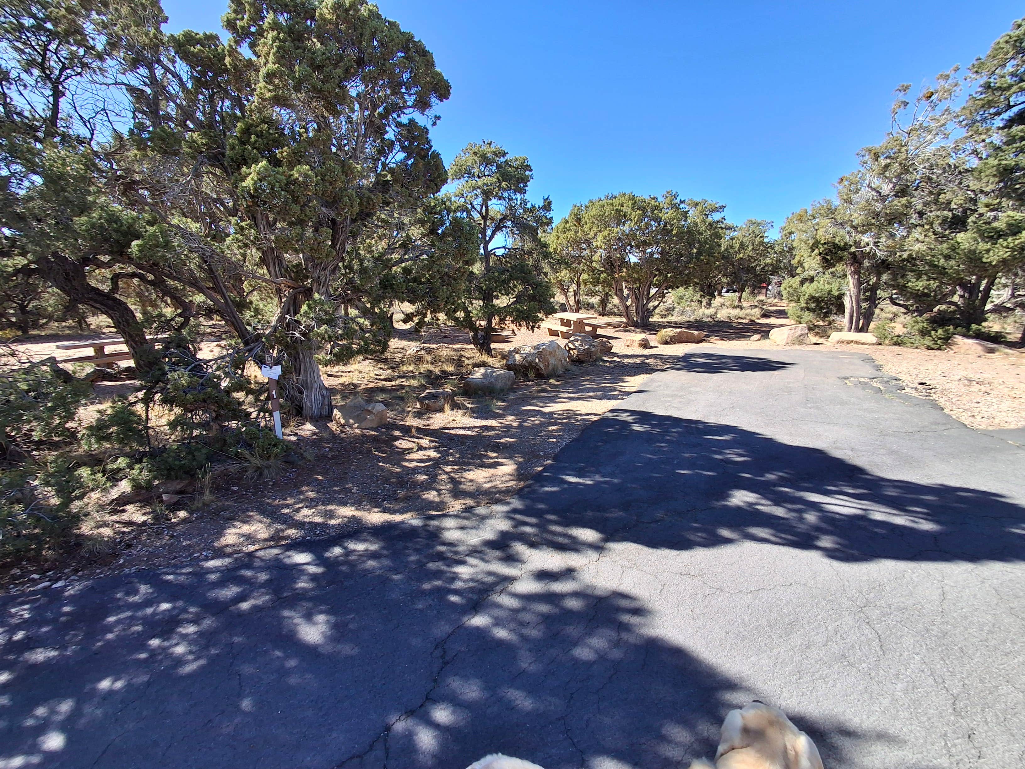 Mark M.'s photo of camping with pets at Desert View Campground — Grand Canyon National Park near Gray Mountain, AZ