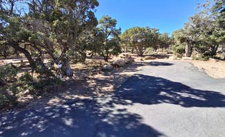 Mark M.'s photo of camping with pets at Desert View Campground — Grand Canyon National Park near Grand Canyon, AZ