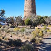 Review photo of Desert View Campground — Grand Canyon National Park by Mark M., October 16, 2025