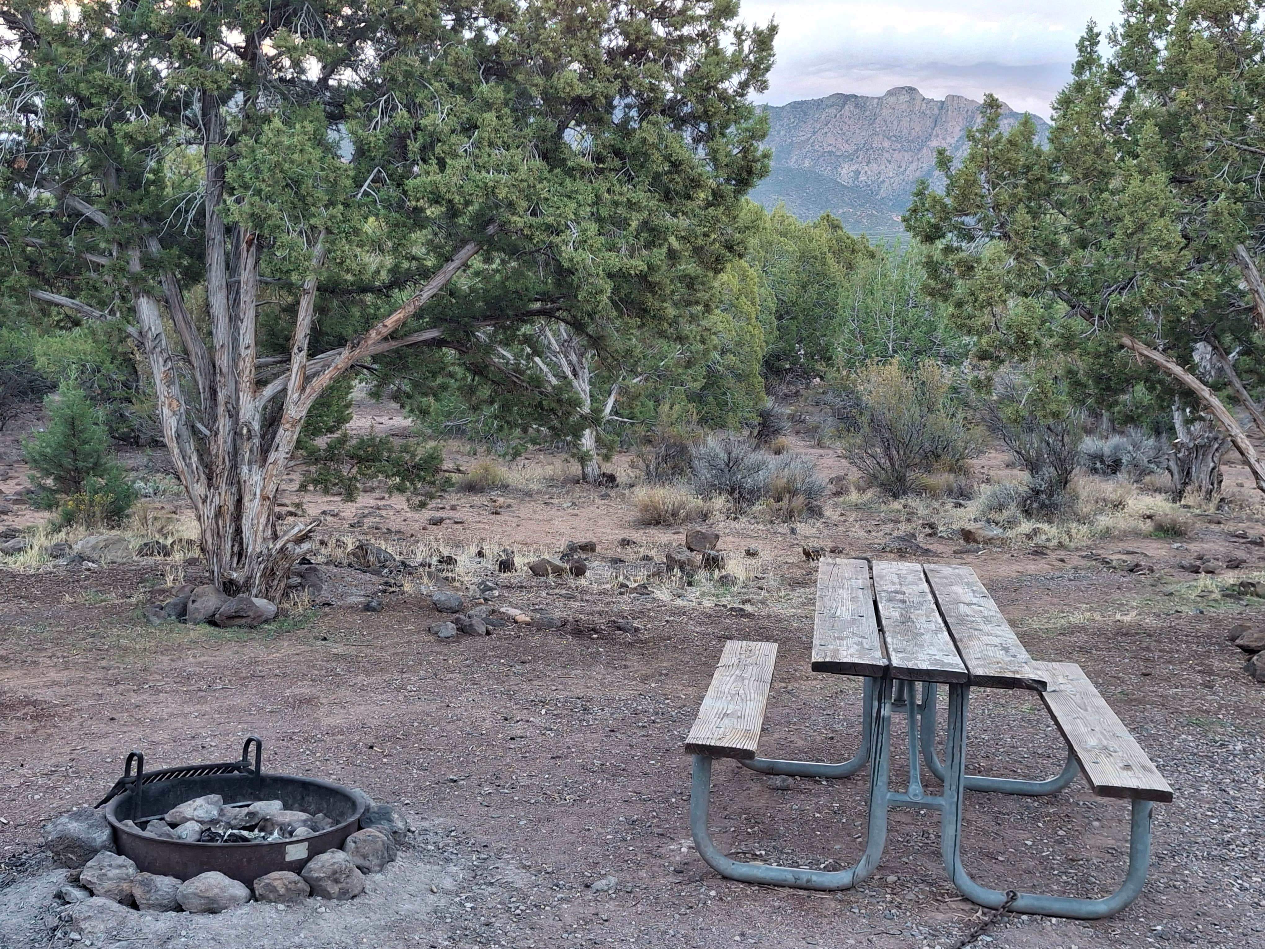 Camper-submitted photo at Baker Dam Recreation Area near Pine Valley, UT
