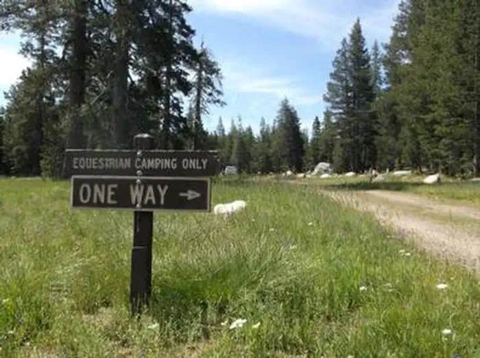 Camper submitted image from Wrights Lake Equestrian Campground - 1
