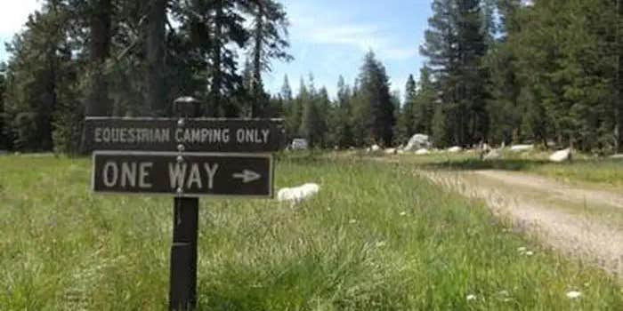 Camper submitted image from Wrights Lake Equestrian Campground