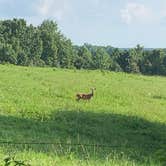 Review photo of David Crockett State Park Campground by Nickie F., May 3, 2019