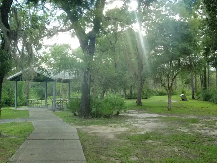 Camper-submitted photo at Camel Lake Campground near Apalachicola National Forest