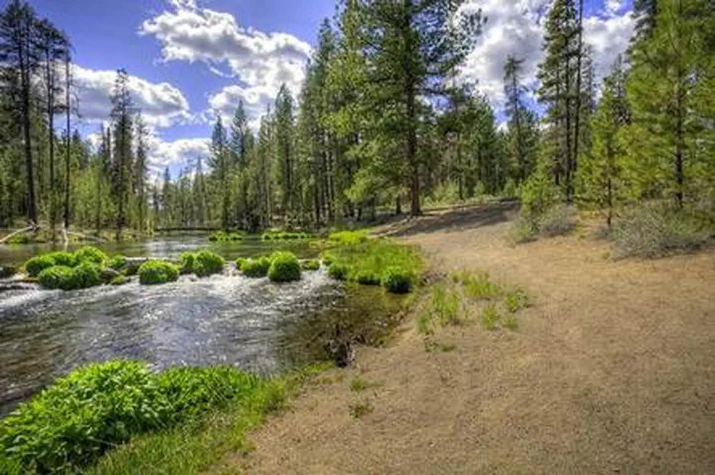 Camper submitted image from Fall River Campground - 1