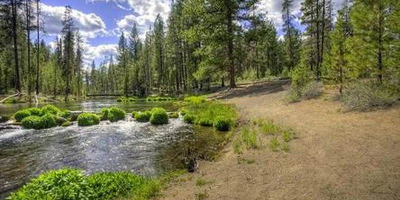 Camper submitted image from Fall River Campground