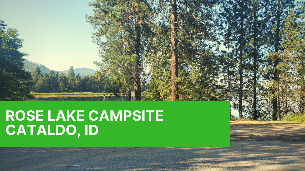 Camper submitted image from Rose Lake - 2