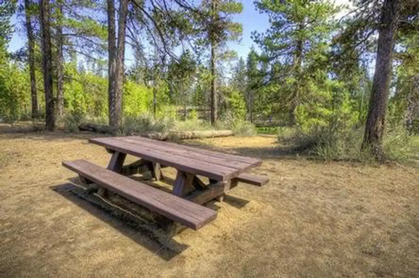 Camper-submitted photo at Fall River Campground near La Pine, OR