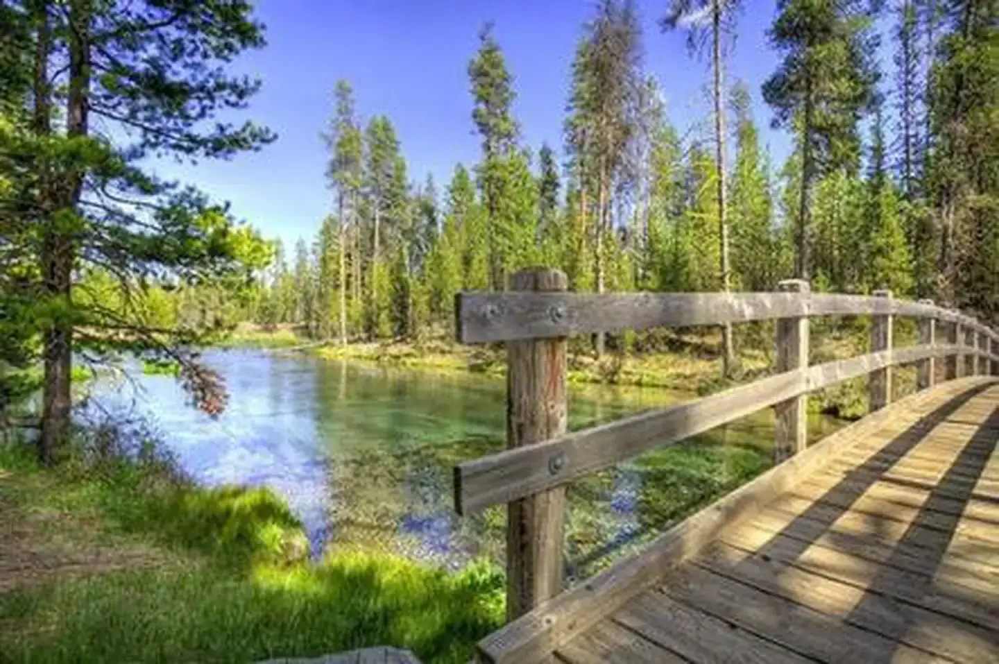 Camper-submitted photo at Fall River Campground near La Pine, OR