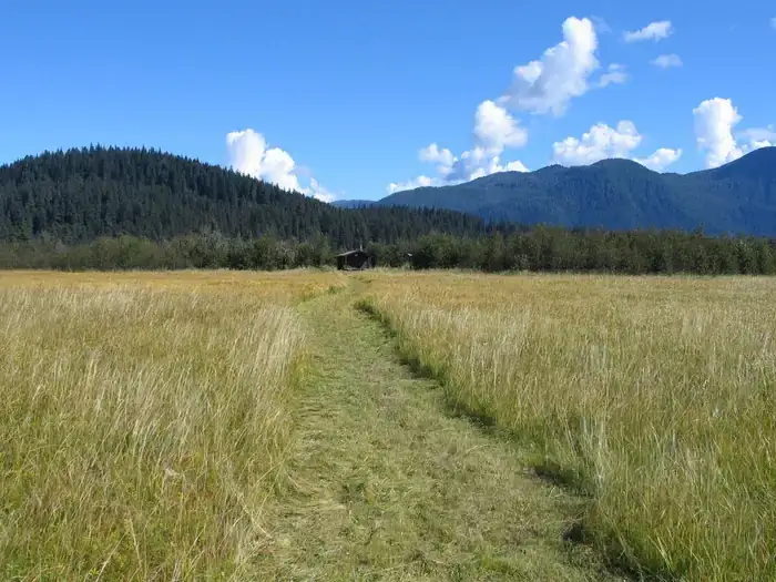 Camping near Three Sisters Overlook Campsite: Koknuk Cabin, Petersburg, Alaska