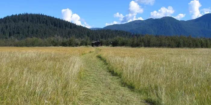 Camper submitted image from Koknuk Cabin