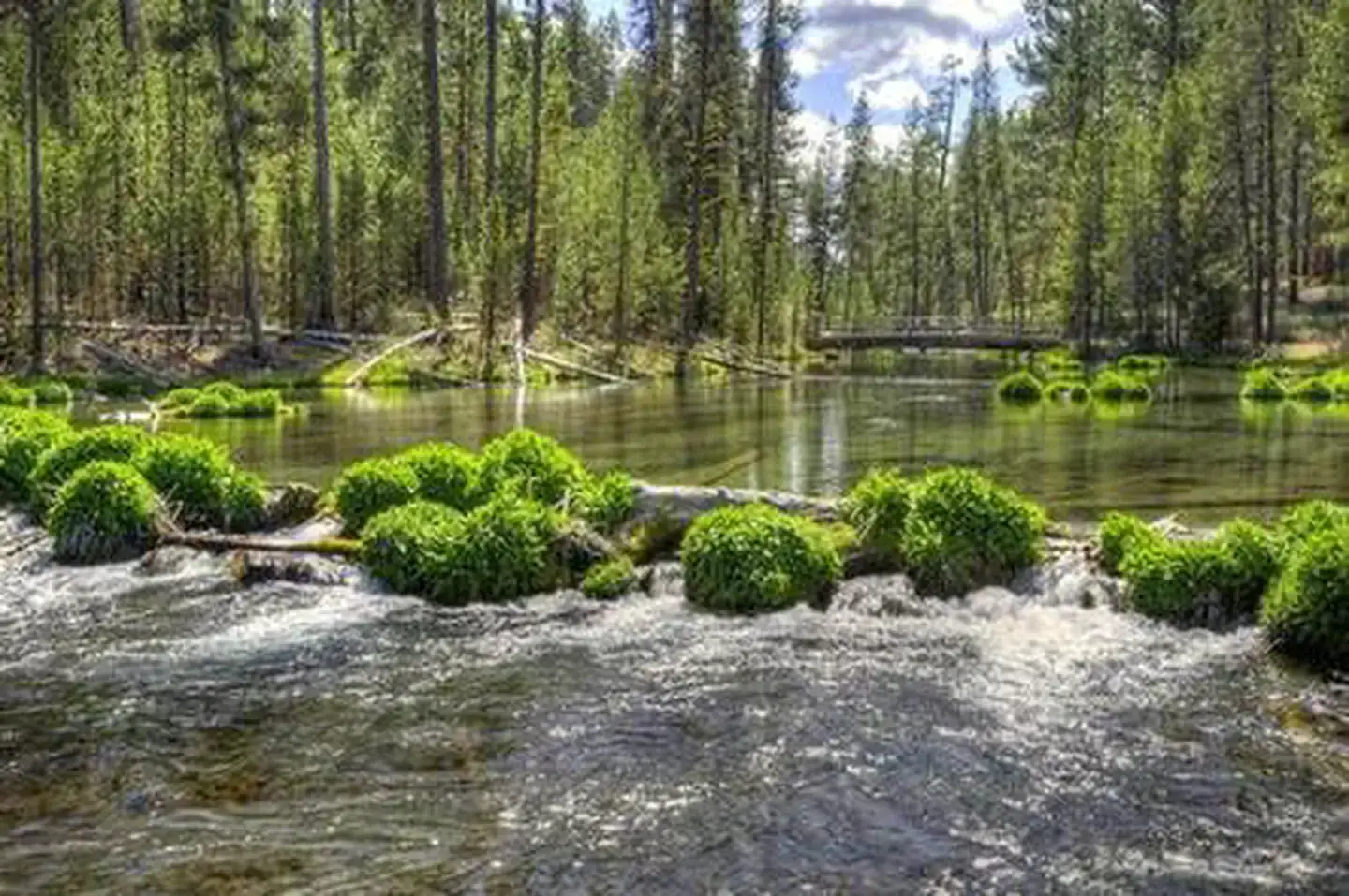 Camper-submitted photo at Fall River Campground near La Pine, OR