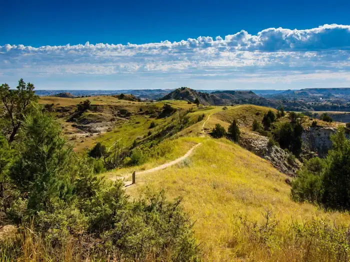 Camper-submitted photo at Cottonwood Group Site — Theodore Roosevelt National Park near Medora, ND