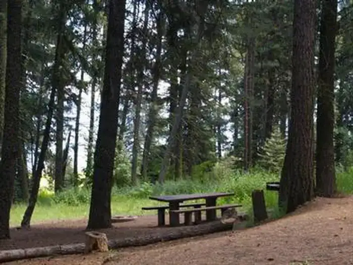 Camper-submitted photo at French Creek Campground near Cascade, ID
