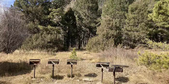 Camper submitted image from Angel Of Shavano Group — Psicc