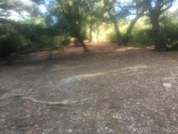 Camper-submitted photo at China Camp Campground near Soledad, CA