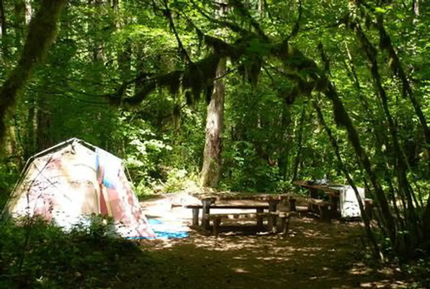 Camper-submitted photo at Hoover Campground near Gates, OR