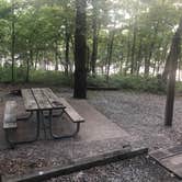 Review photo of Raccoon Ridge — Harry S Truman State Park by Kassandra  W., August 5, 2019