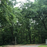 Review photo of Harry S Truman State Park Campground by Kassandra  W., August 5, 2019