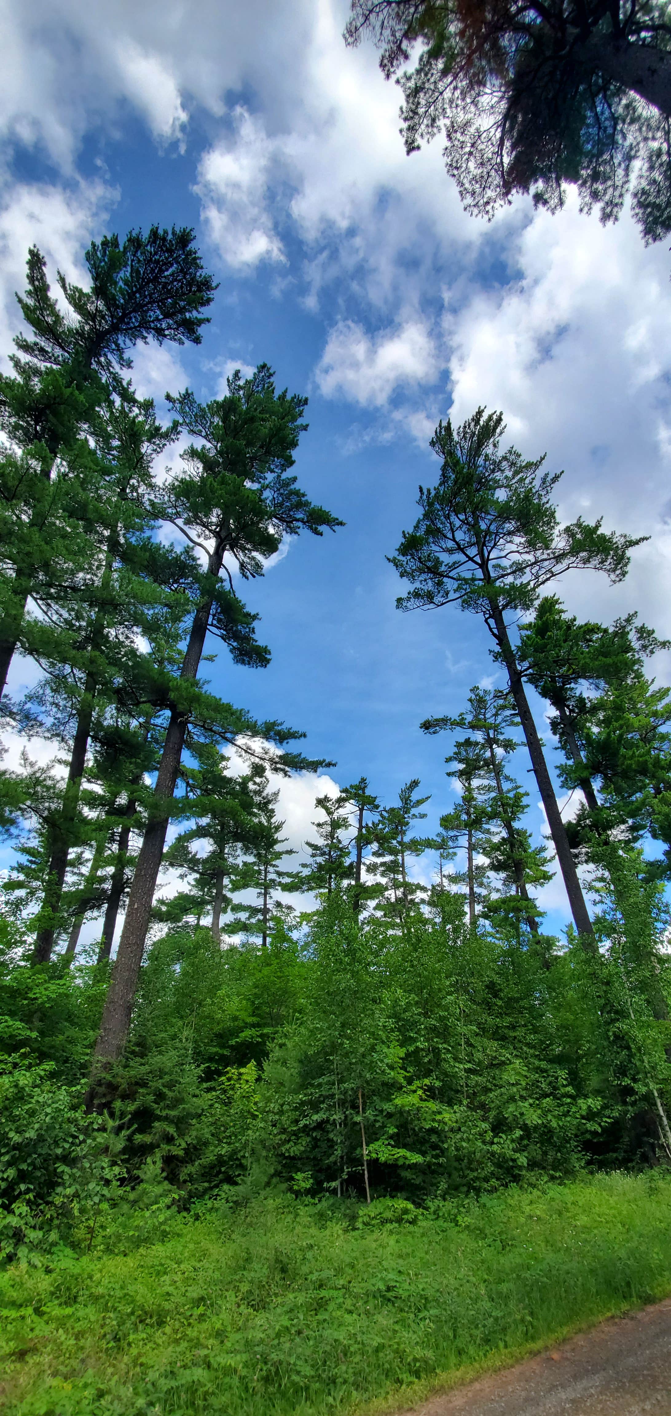Camper-submitted photo at McFarland Lake Campground near Grand Portage, MN