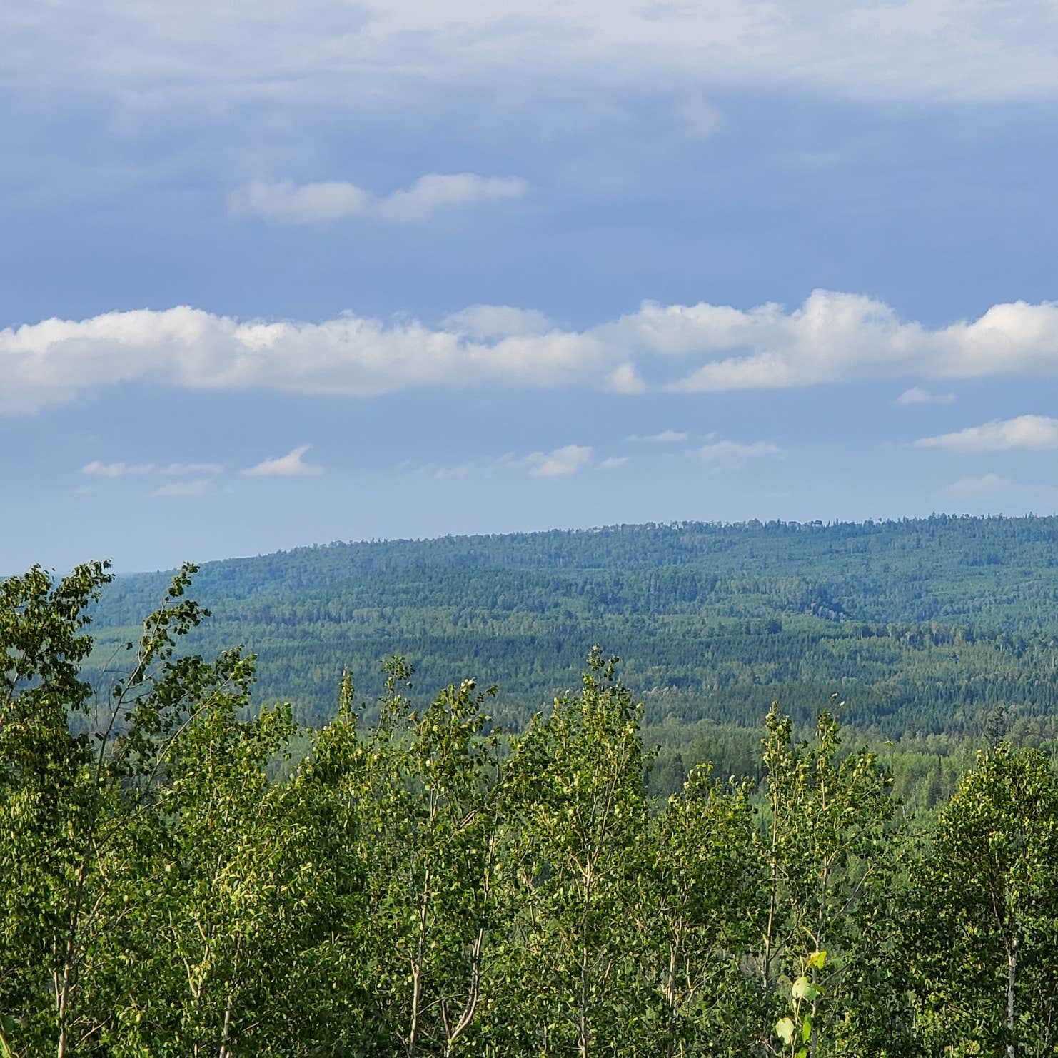 McFarland Lake Campground Grand Marais, MN