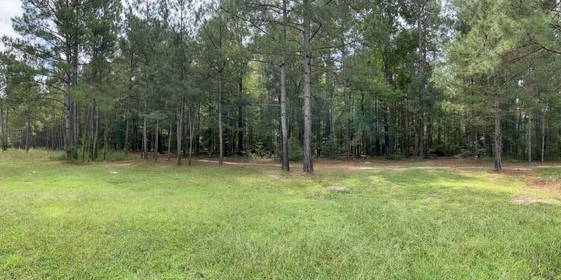 Camper submitted image from Longleaf Campground — Congaree National Park