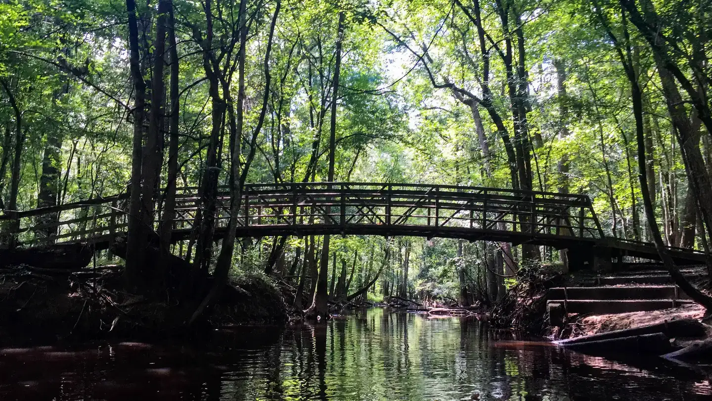 Camper-submitted photo at Longleaf Campground — Congaree National Park near West Columbia, SC