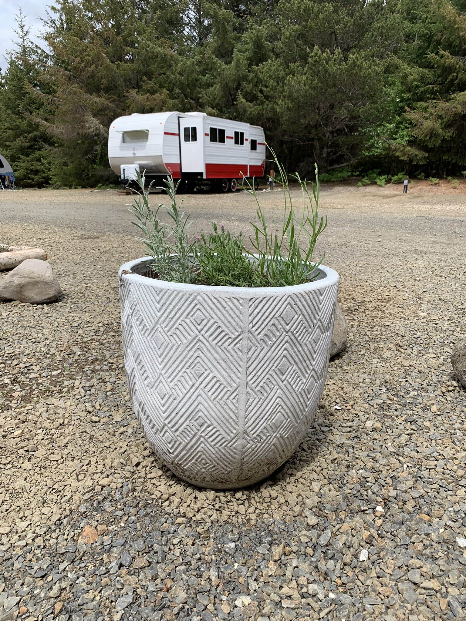 Camper submitted image from The Lamp Camp - 2