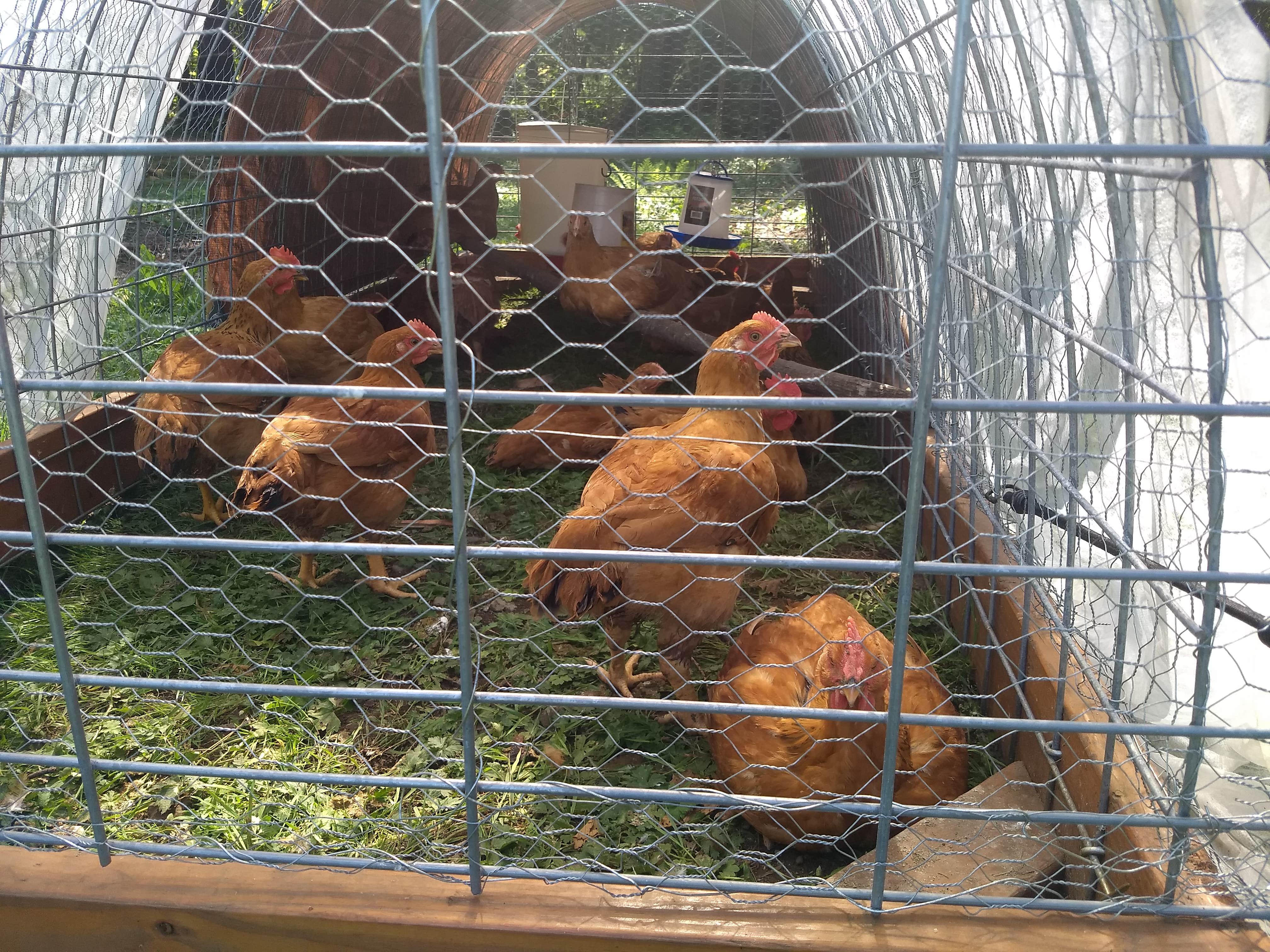 Camper-submitted photo at Hidden Meadow Retreat near Nooksack, WA