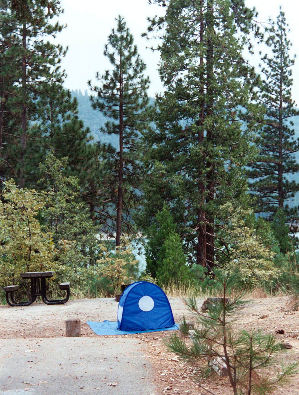 Warren K.'s photo of tent camping at Bass Lake Recreation Area Rudy near Clovis, CA