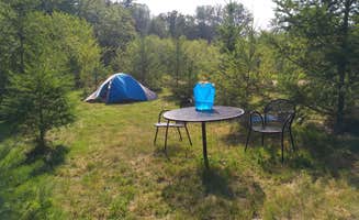 Danielle S.'s photo at Hidden Meadow Retreat near Maple Falls, WA