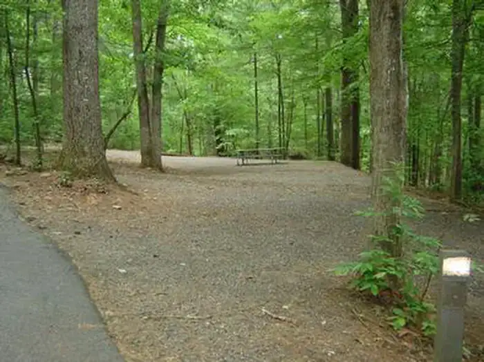 Camper-submitted photo at Horseshoe Point near Philpott Lake