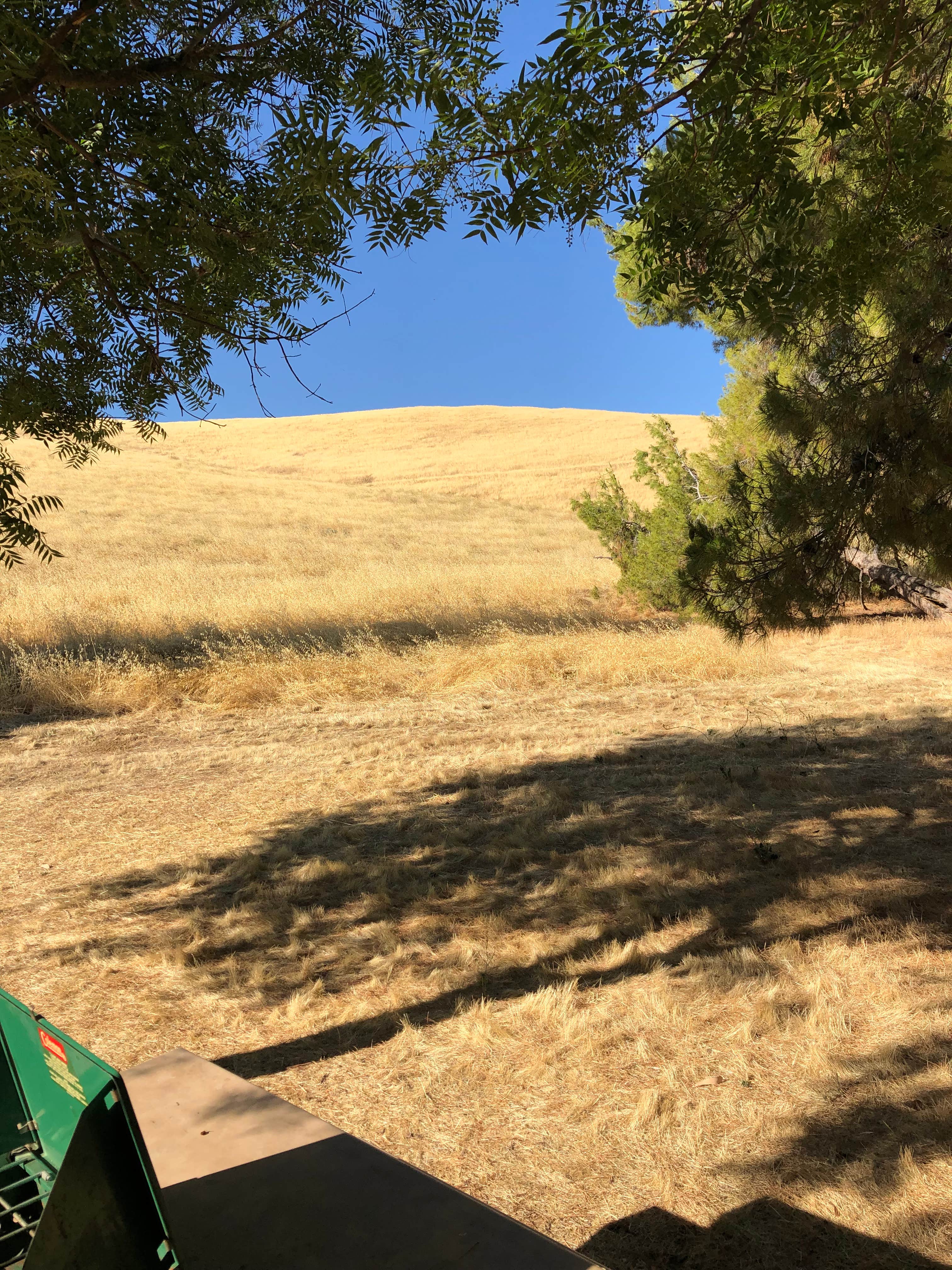 Keri D.'s photo at Basalt Campground - San Luis Reservoir SRA near Stevinson, CA