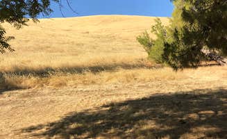 Keri D.'s photo at Basalt Campground - San Luis Reservoir SRA near Atwater, CA