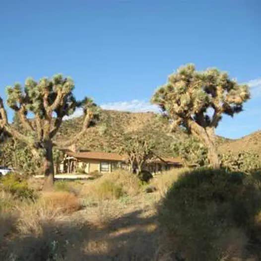 Black Rock Campground — Joshua Tree National Park