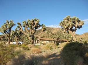 Black Rock Campground — Joshua Tree National Park