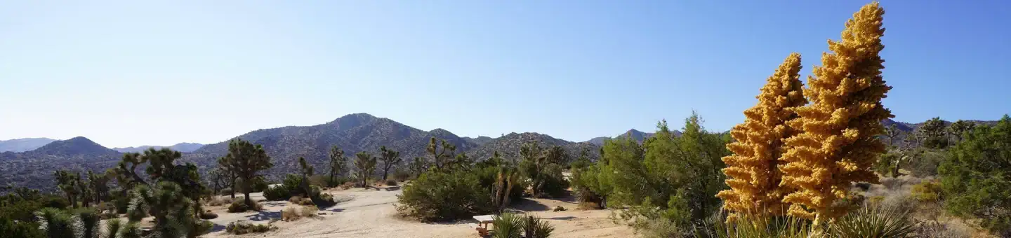 Camper-submitted photo at Black Rock Campground — Joshua Tree National Park near Twentynine Palms, CA