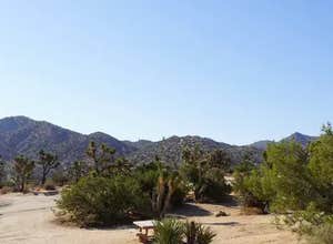 Black Rock Campground — Joshua Tree National Park
